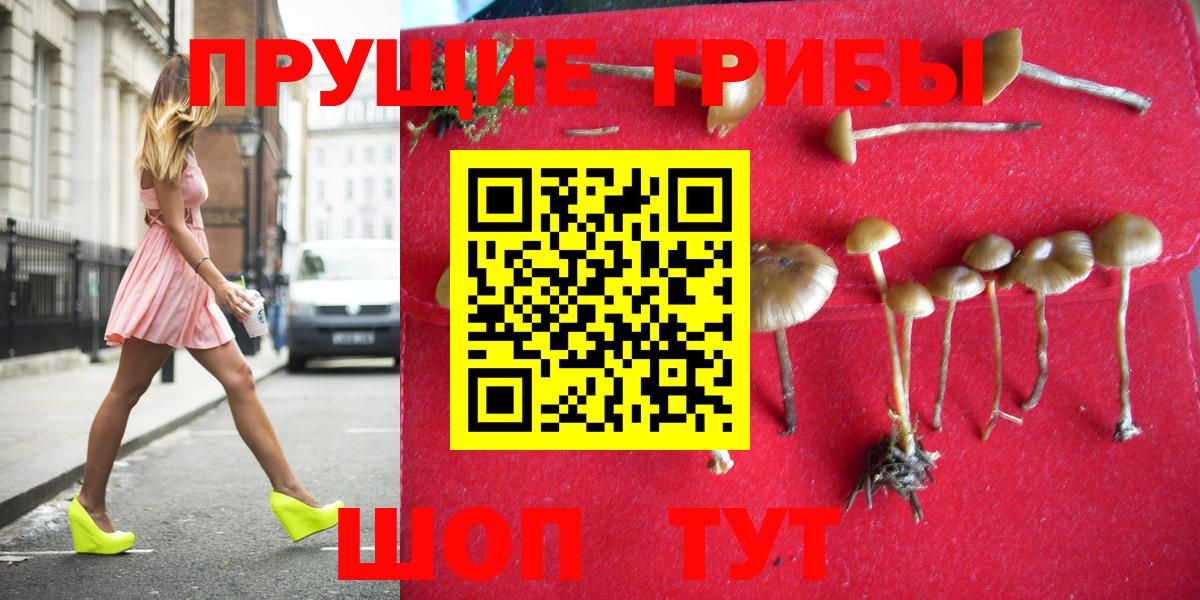 Псилоцибиновые грибы GOLDEN TEACHER Ирбит