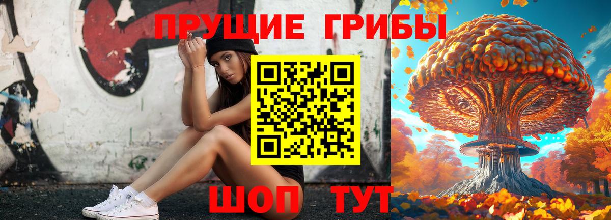 Галлюциногенные грибы Psilocybe  Галлюциногенные грибы прущие грибы  Вход с VPN  Ирбит 